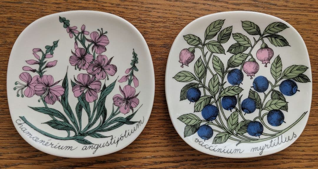 値下げ！ arabia Esteri Tomula　エステリ・トムラ　ボタニカ