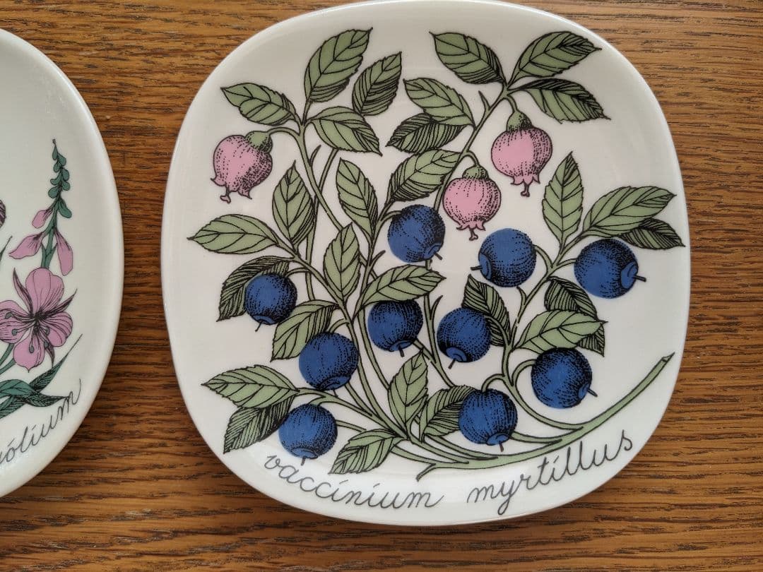 値下げ！ arabia Esteri Tomula　エステリ・トムラ　ボタニカ