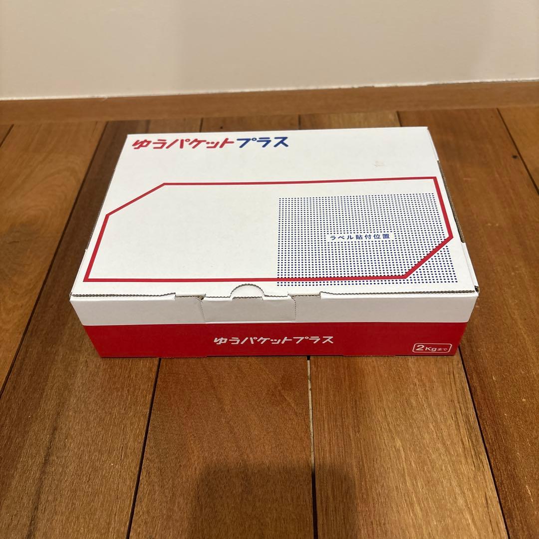 【未使用品】Dior Dロゴ ストーン ブレスレット シルバーカラー　保証書付