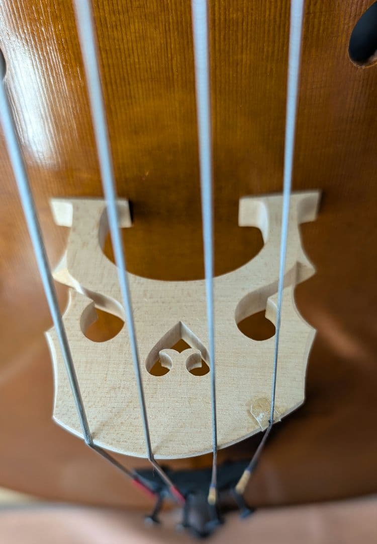 【チェロ】国産 ピグマリウス デリウス 4/4 ＋ハードケース＋弓