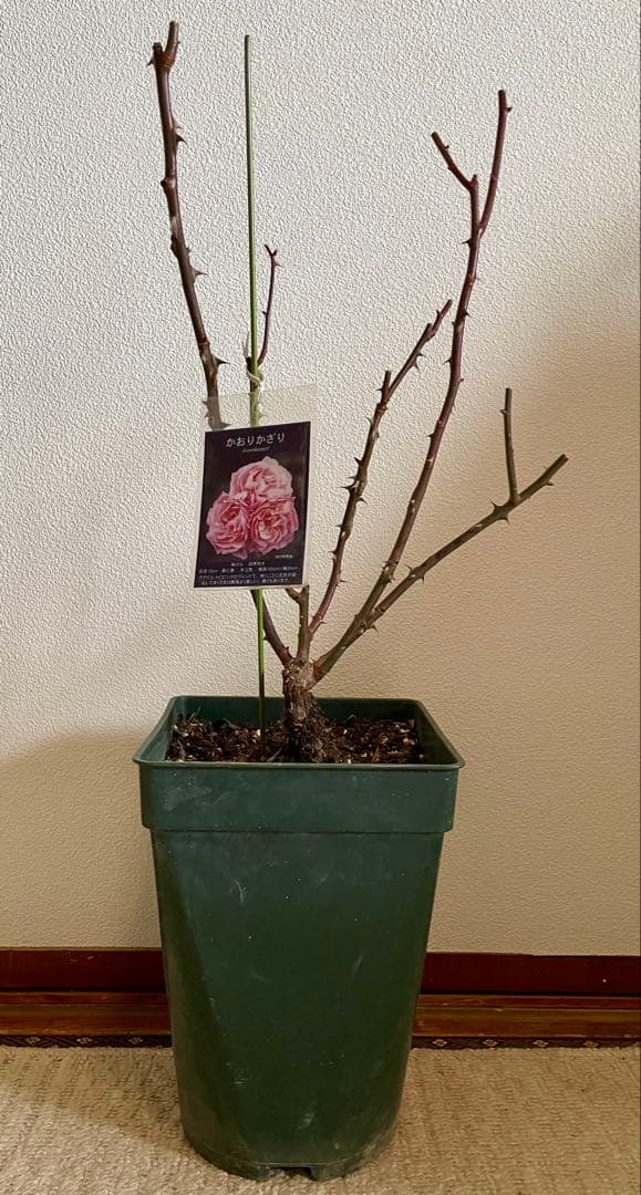 ✴️ 和バラ ✴️ かおりかざり ✴️