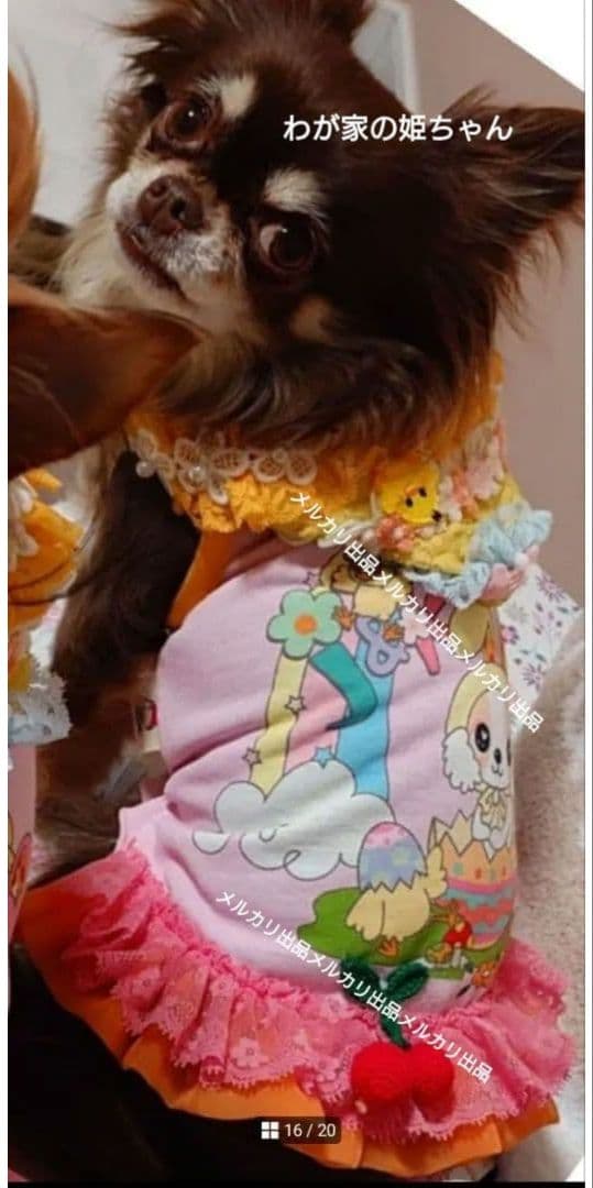 J＆Kanimals　ホワイトシュガーちゃんワンピース　限定ワンピース　廃盤品