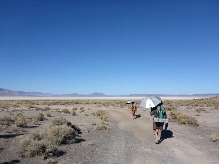 シックスムーンデザインズ　折りたたみ傘　カーボン　グリップが選べる　匿名配送