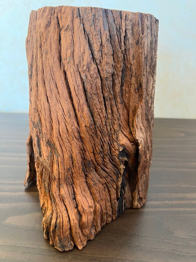 HX-007流木　空洞　爬虫類　アクアリウム　アクアテラリウム　即沈水