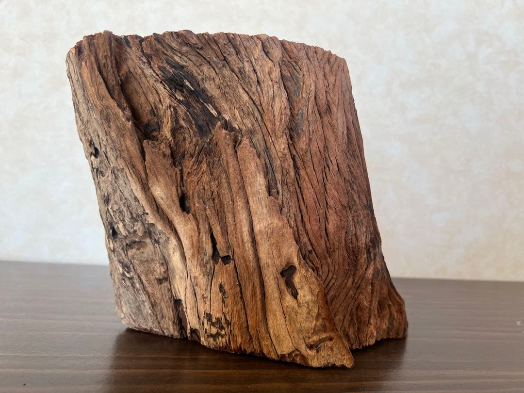 HX-007流木　空洞　爬虫類　アクアリウム　アクアテラリウム　即沈水