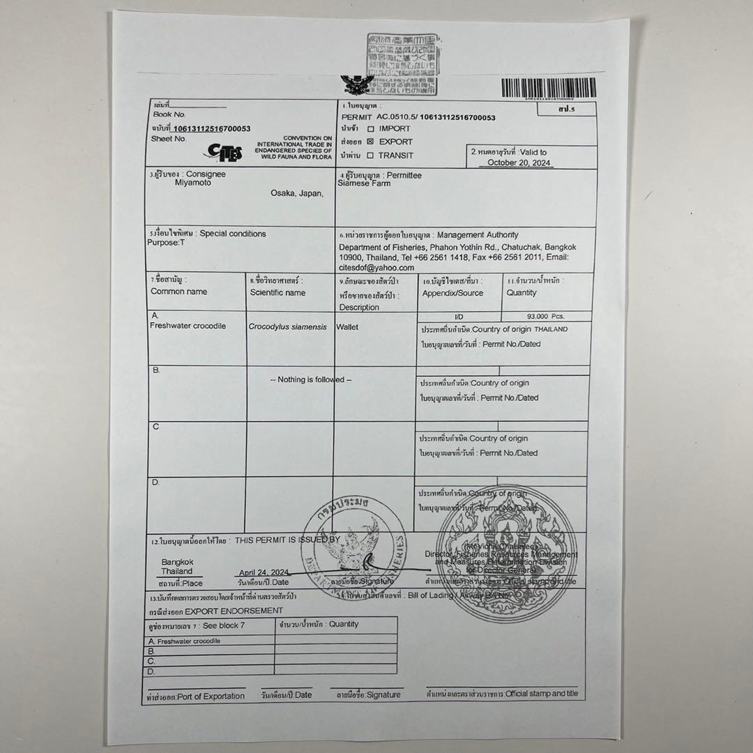 新品 クロコダイル 長財布 ダークグリーン シルバーファスナー 本革 ワニ革