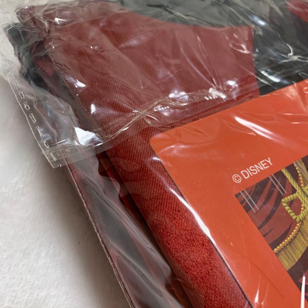 イッツ・ア・スモールワールド　ミッキーマウスレビュー　カーテン　ディズニー