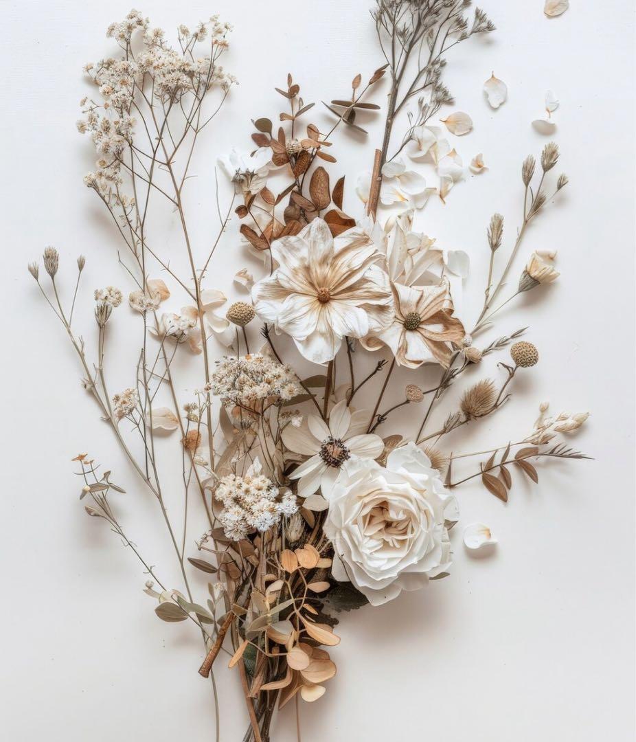 ジャケット・アウター sealine