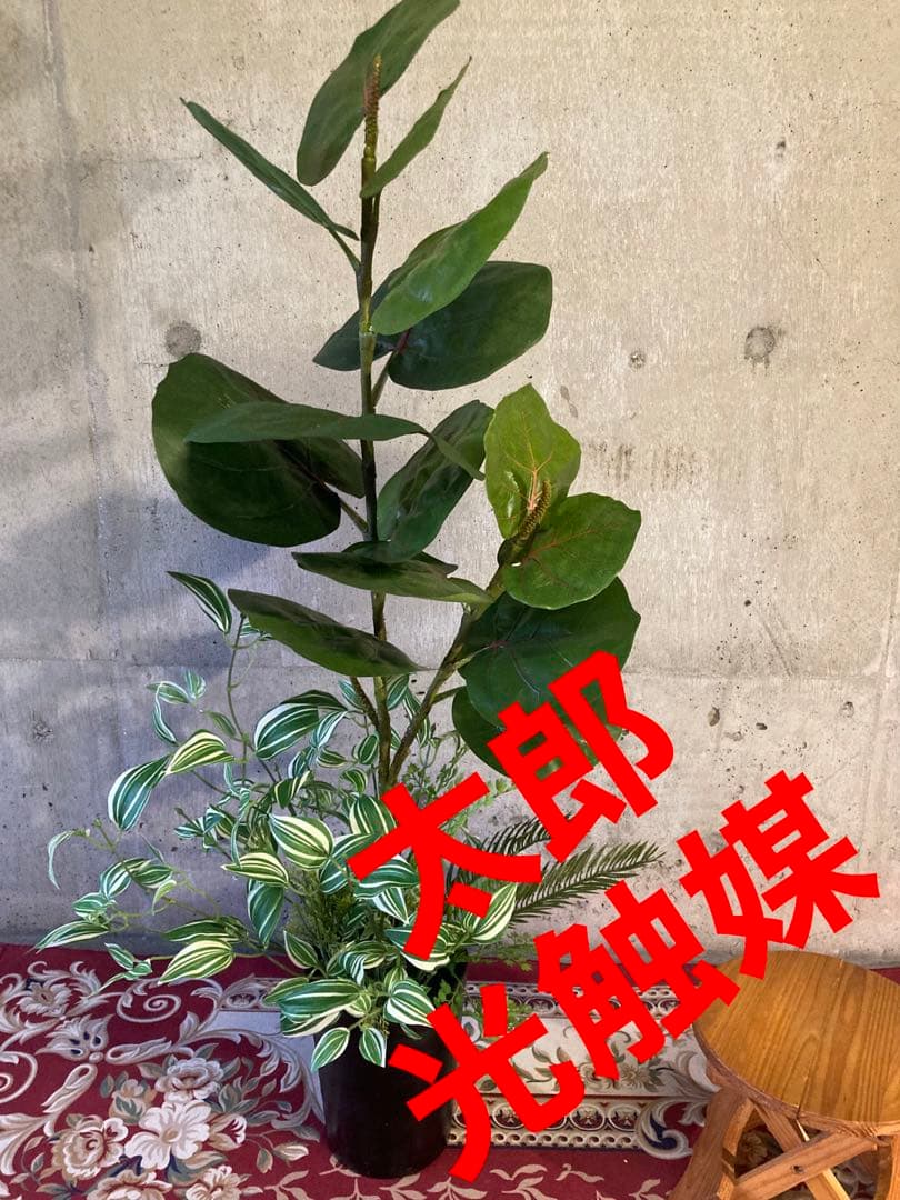 光触媒　人工観葉植物　ウォールグリーン　フェイクグリーン　pシーグレープトラカン