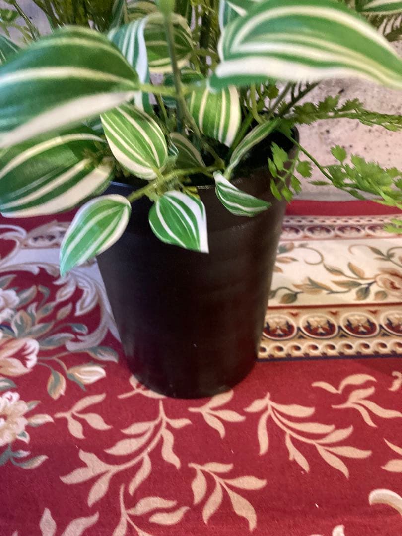 光触媒　人工観葉植物　ウォールグリーン　フェイクグリーン　pシーグレープトラカン