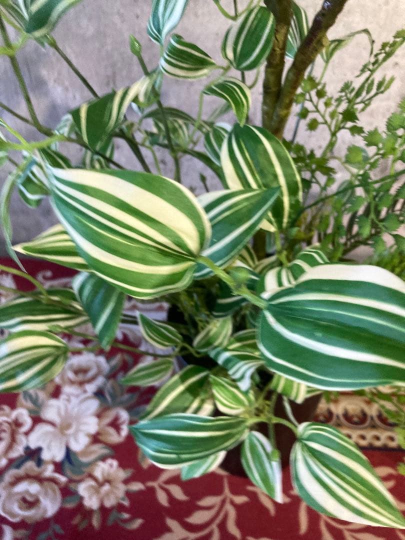 光触媒　人工観葉植物　ウォールグリーン　フェイクグリーン　pシーグレープトラカン