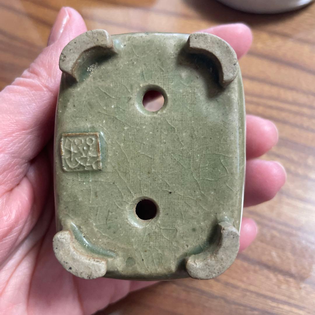 77蝉耳　鉢　横6.8㎝　縦5.2㎝　高さ4.1㎝