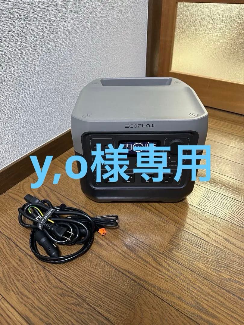 エコフロー　EcoFlow  2 Pro 定格出力800W 768Wh