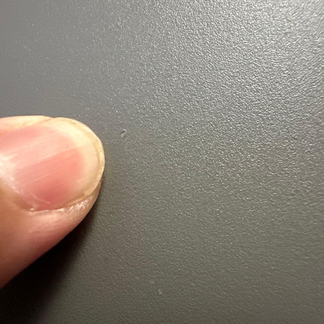 エコフロー　EcoFlow  2 Pro 定格出力800W 768Wh