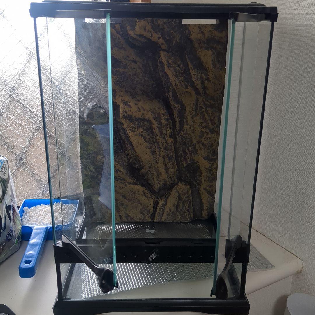 爬虫類　ガラス製テラリウムゲージ