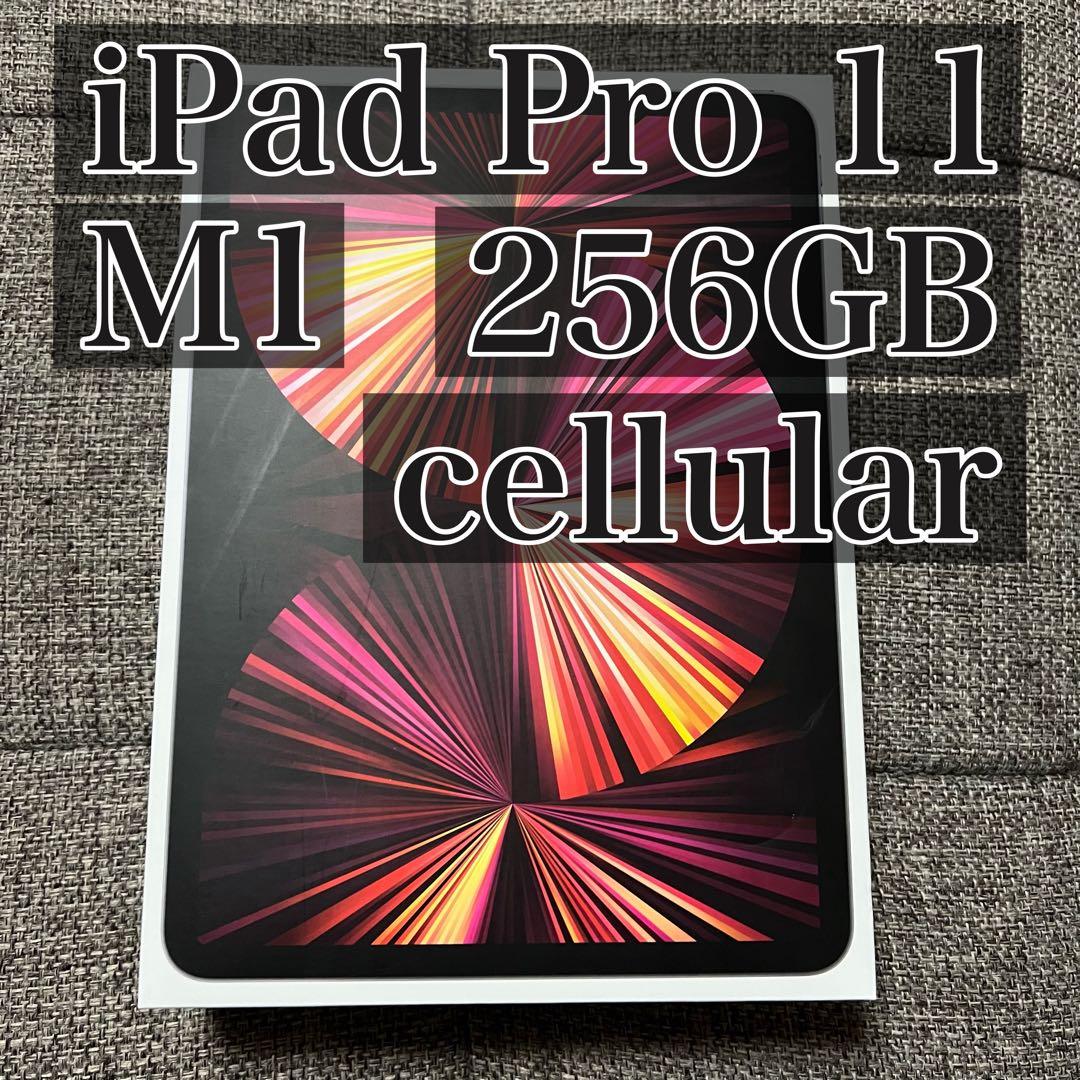 iPad本体 iPad Pro 11 M1 256GB cellular