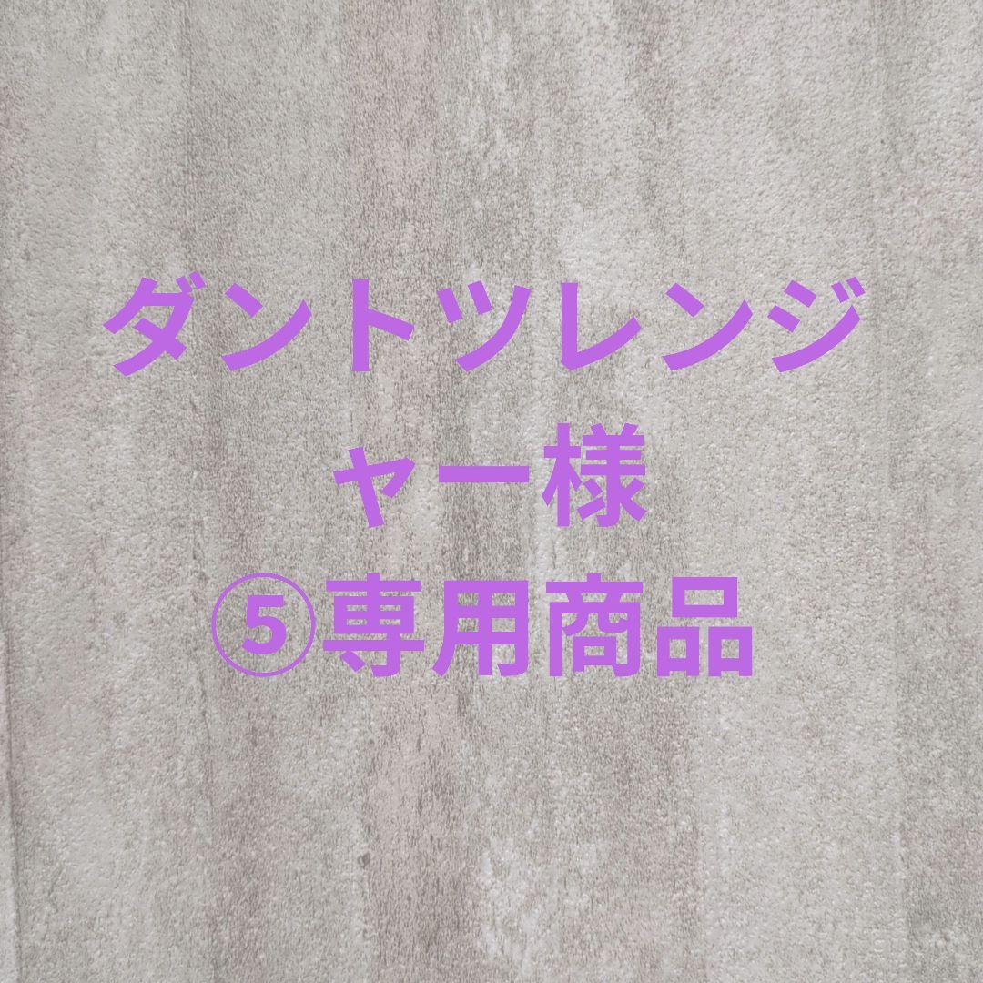 ダントツレンジャー様⑤専用商品