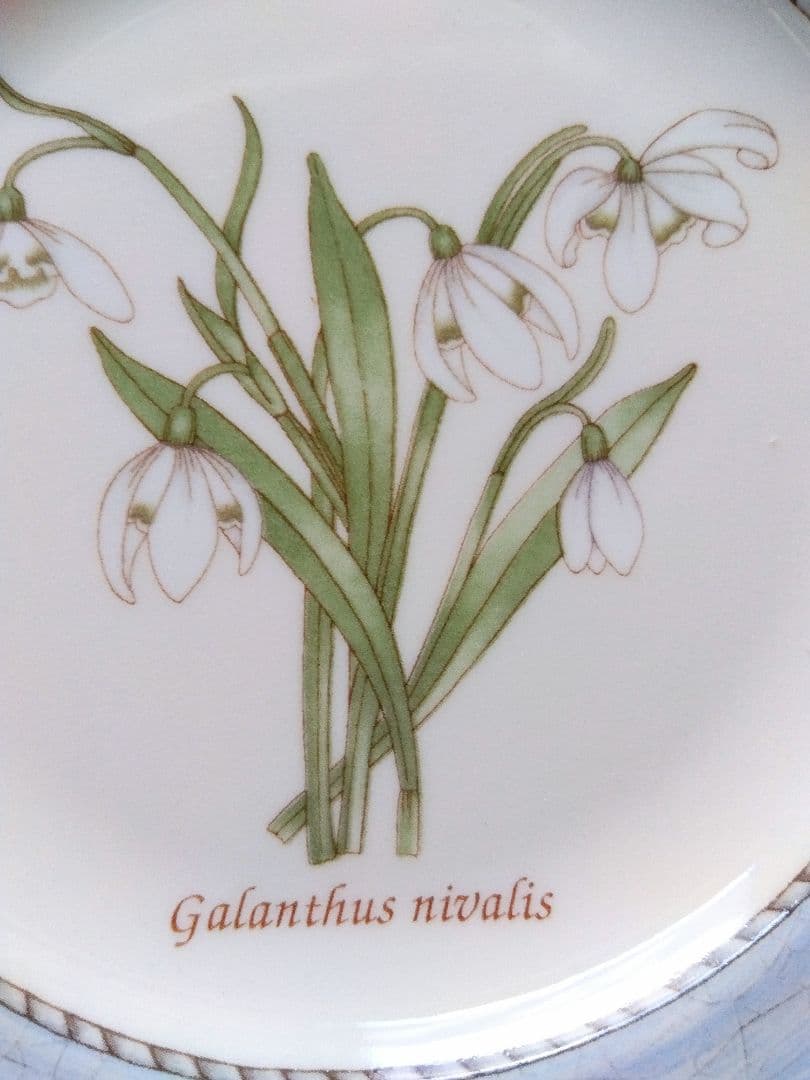 【新品】値下２点ウェッジウッド稀少★スノードロップ★デザート皿