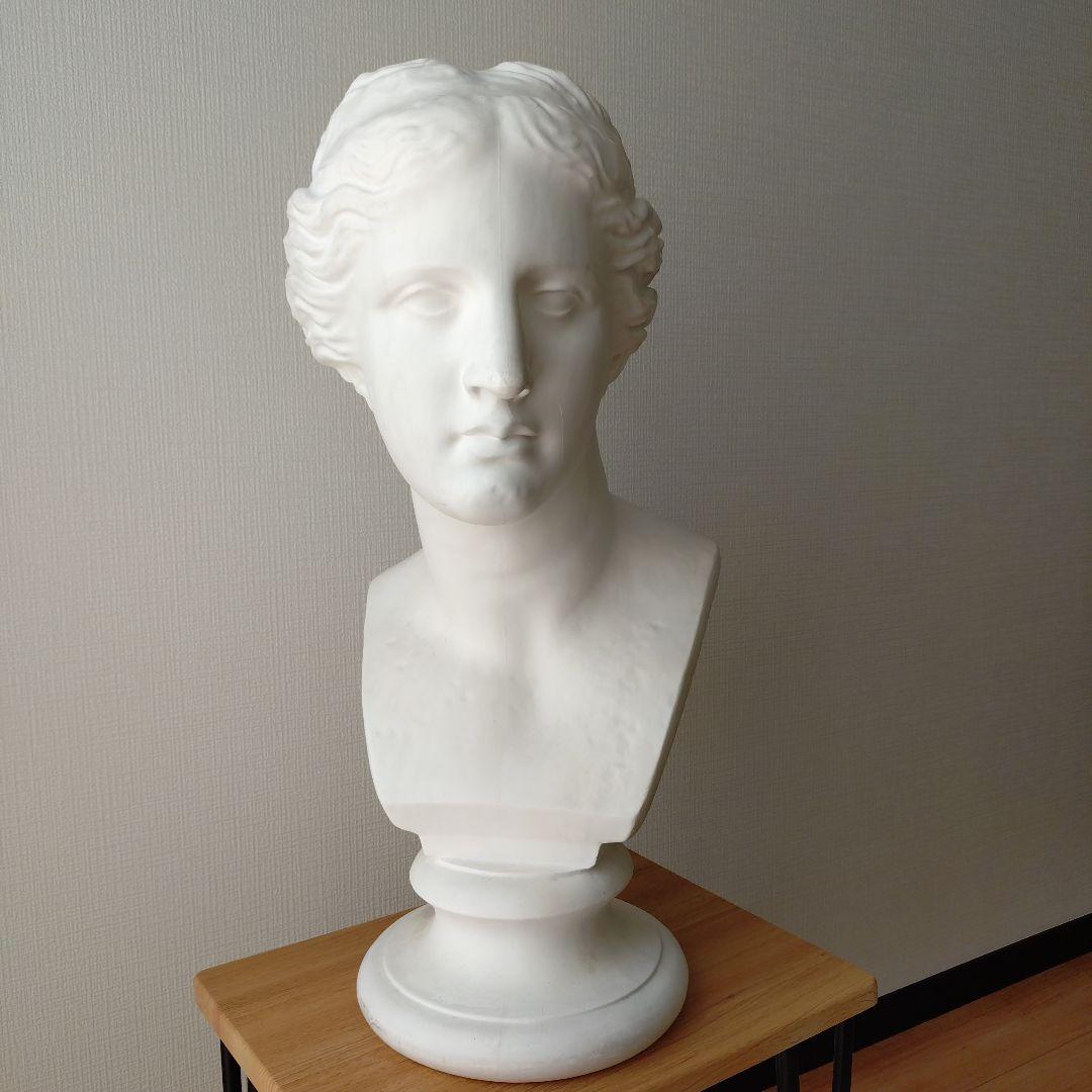 ミロのビーナス　胸像