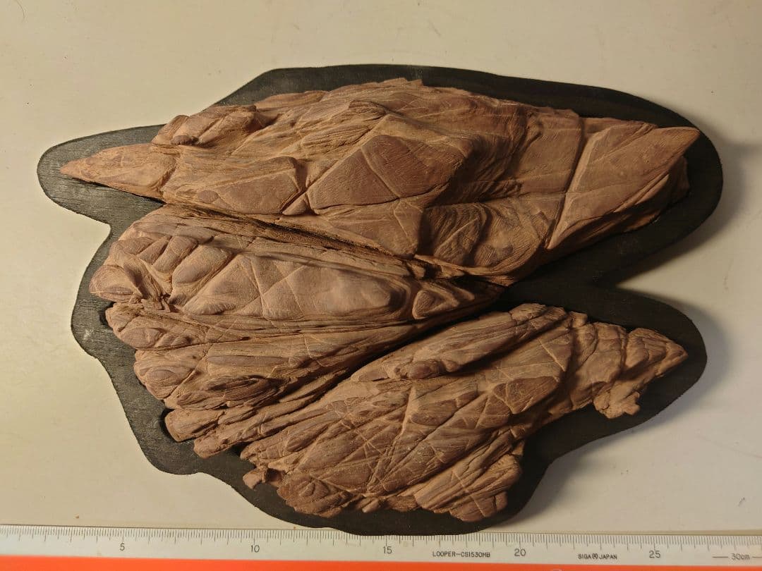 赤抹香石　赤い谷　水石 鑑賞石