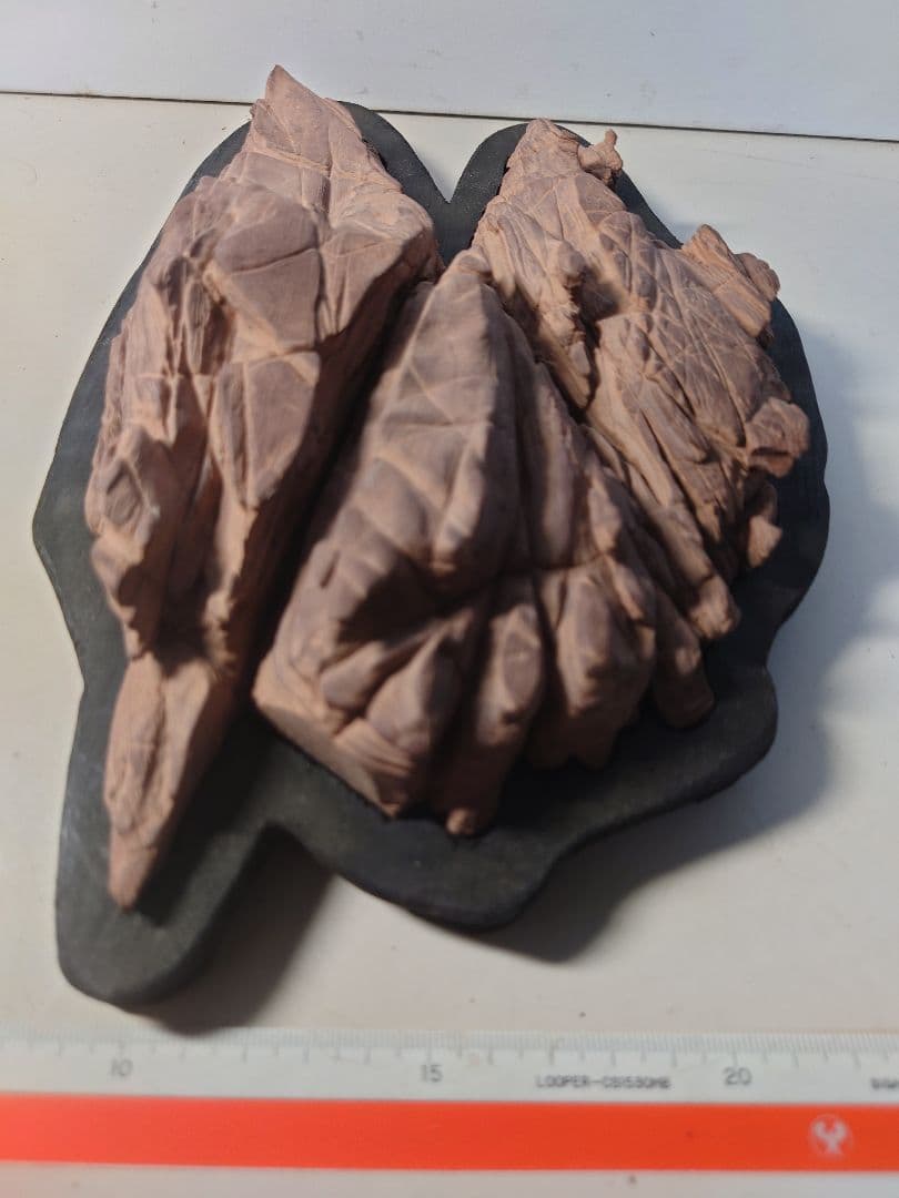 赤抹香石　赤い谷　水石 鑑賞石