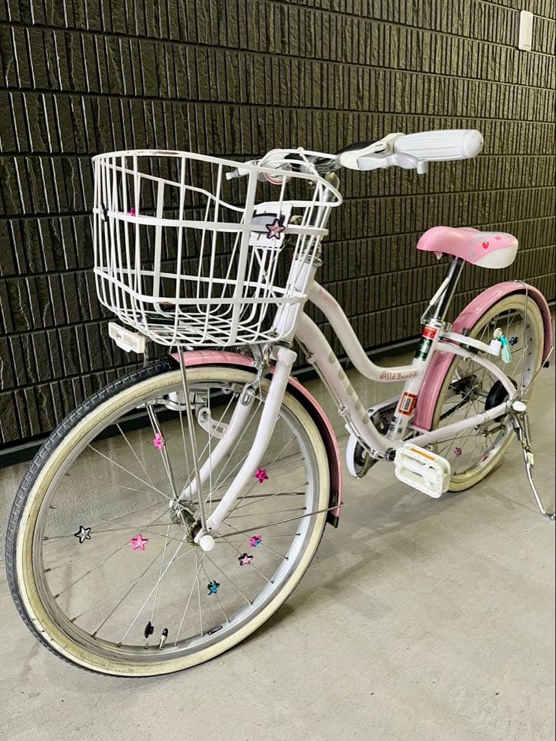 ブリヂストンサイクル　ジュニア向け自転車「ワイルドベリー」　20インチ