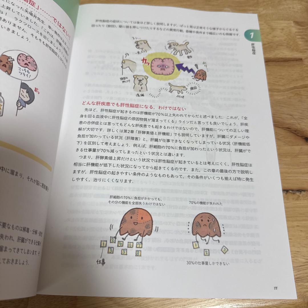 犬と猫の病態生理