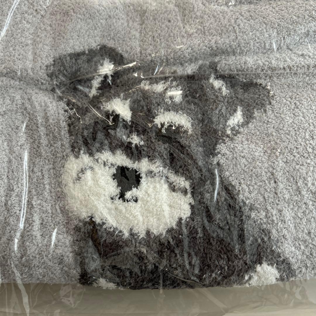 gelato pique シュナウザー パジャマ 上下セット　新品未使用