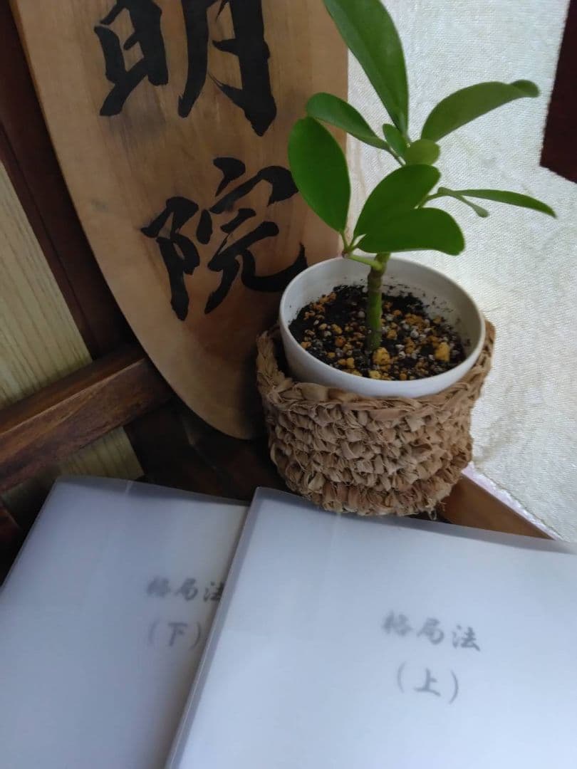 【とこま様ご予約品です】算命学教材【格局法】上下巻