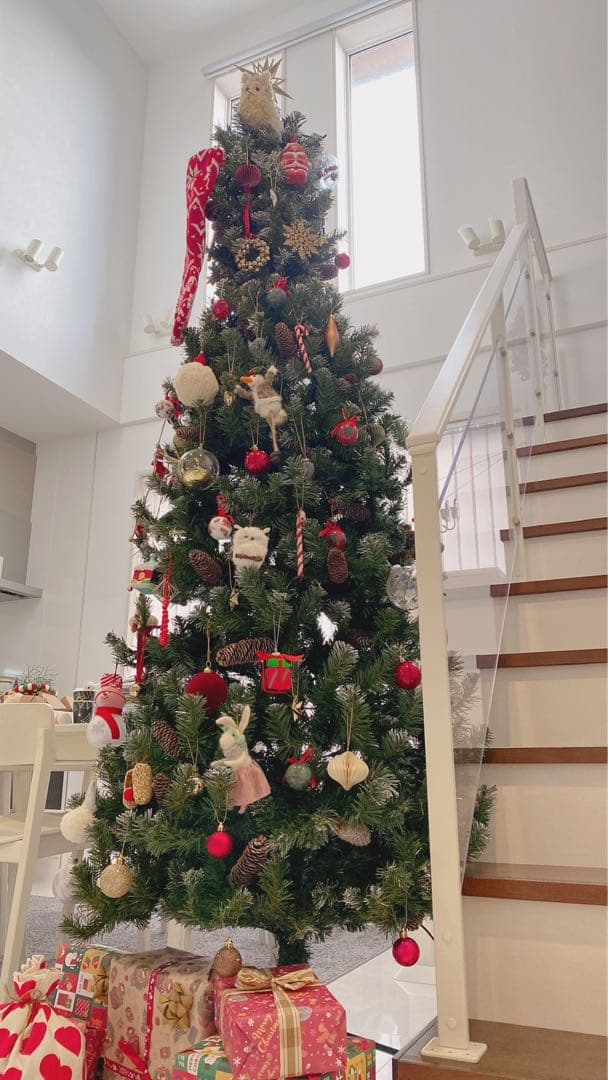 クリスマスツリー 北欧 おしゃれ ドイツトウヒツリー240cm ヌードツリー