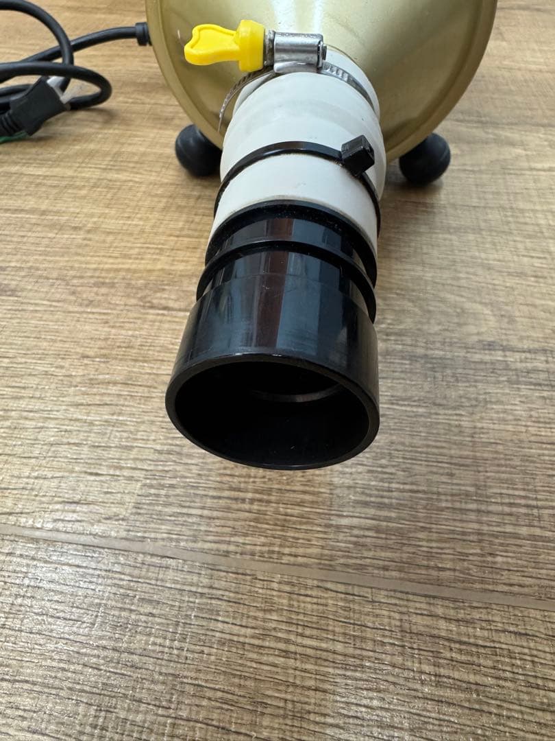 ドラゴンペッカリー