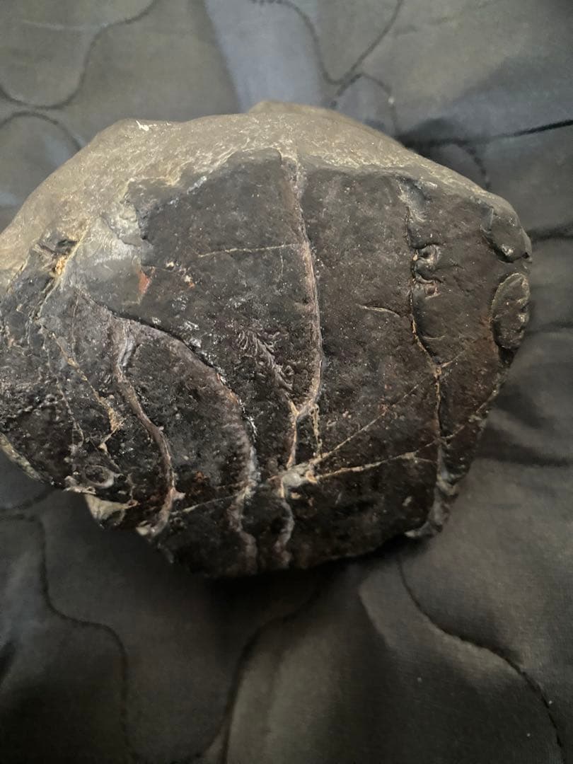 叔父から貰った隕石