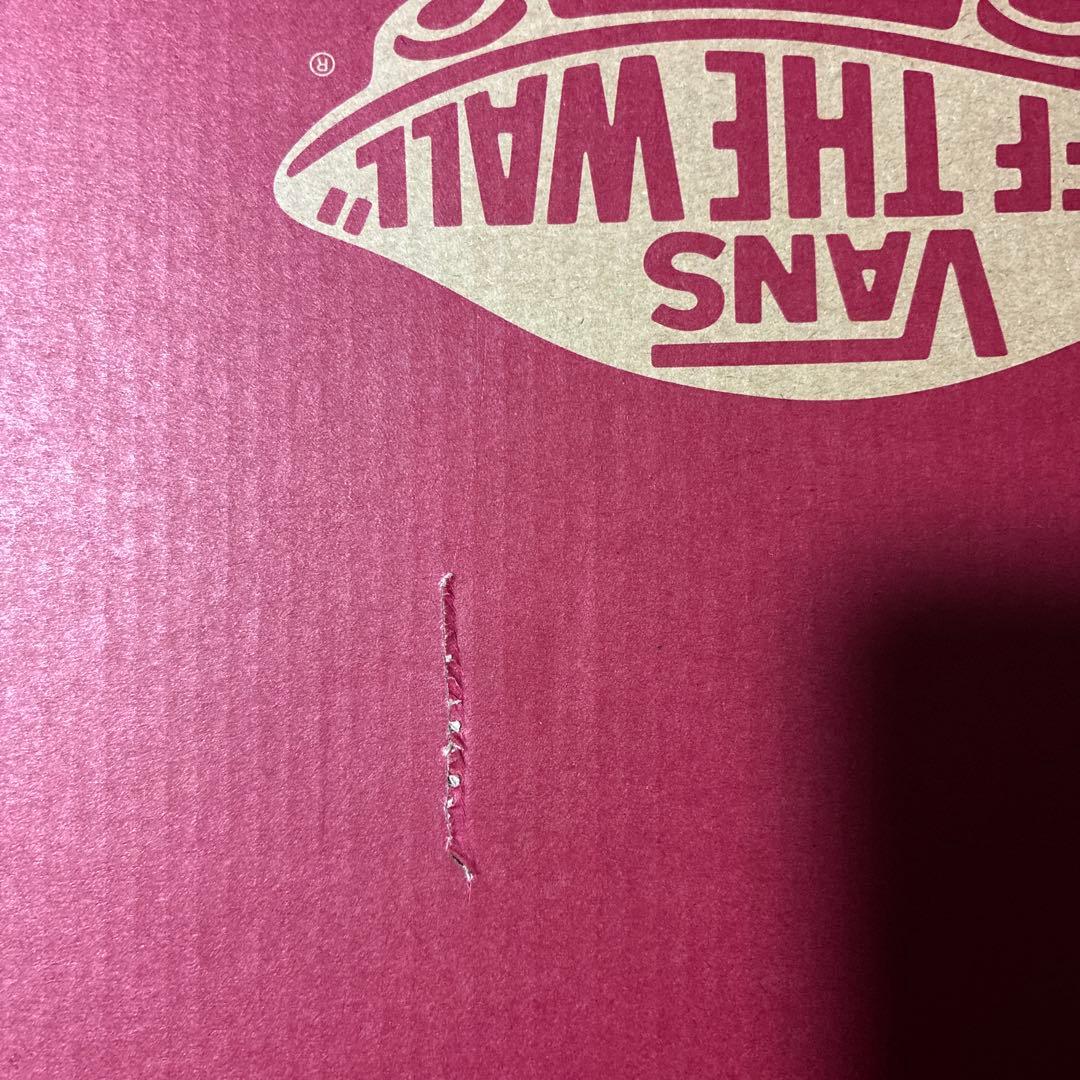 肉*噌様 新品 未使用 25-26 VANS INFUSE SURF 2