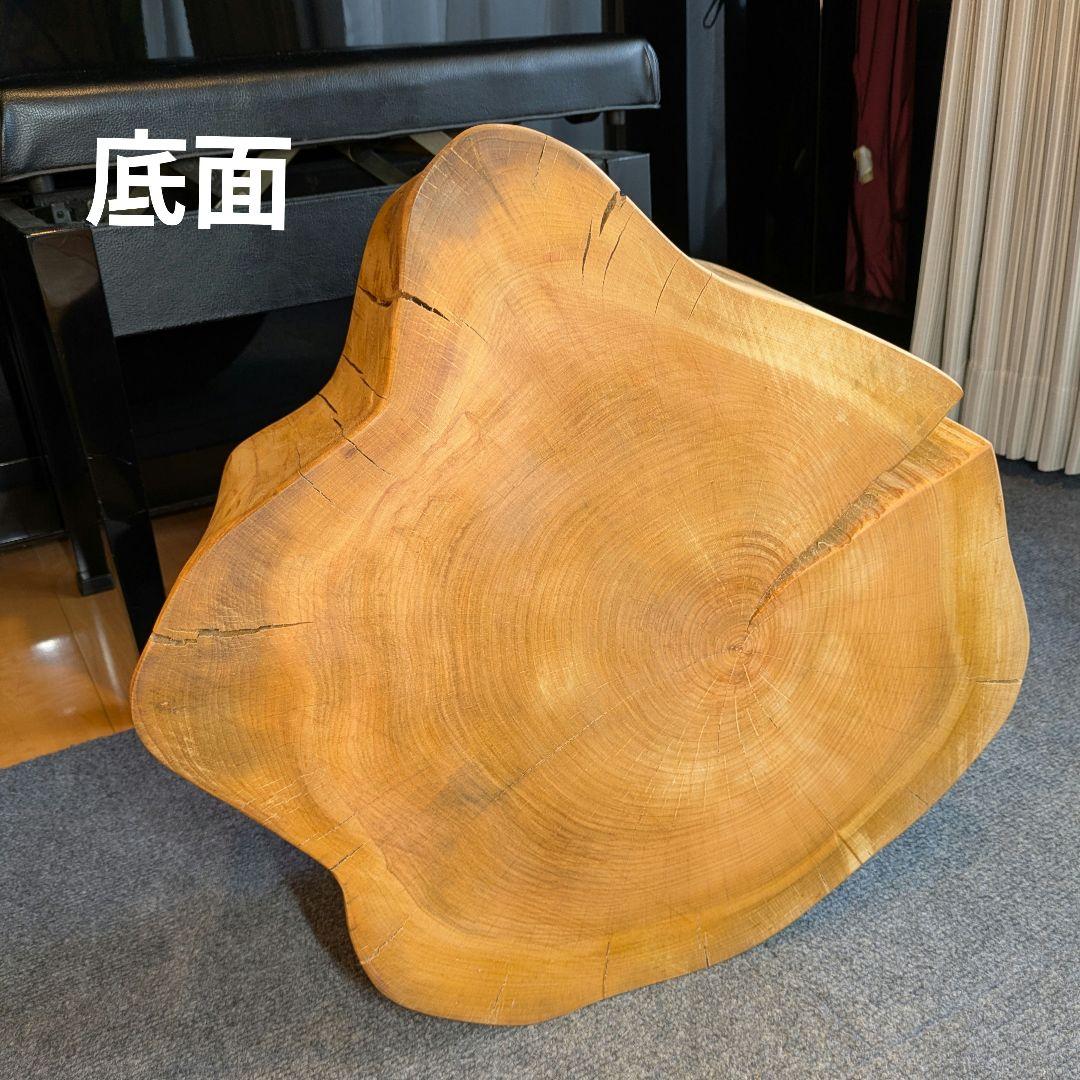 山桜　天然木　切り株　輪切り　高さ約19.5㎝