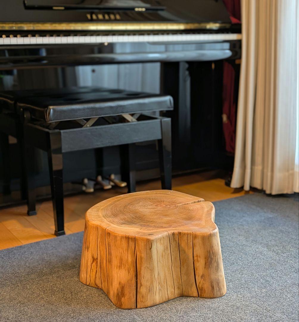 山桜　天然木　切り株　輪切り　高さ約19.5㎝