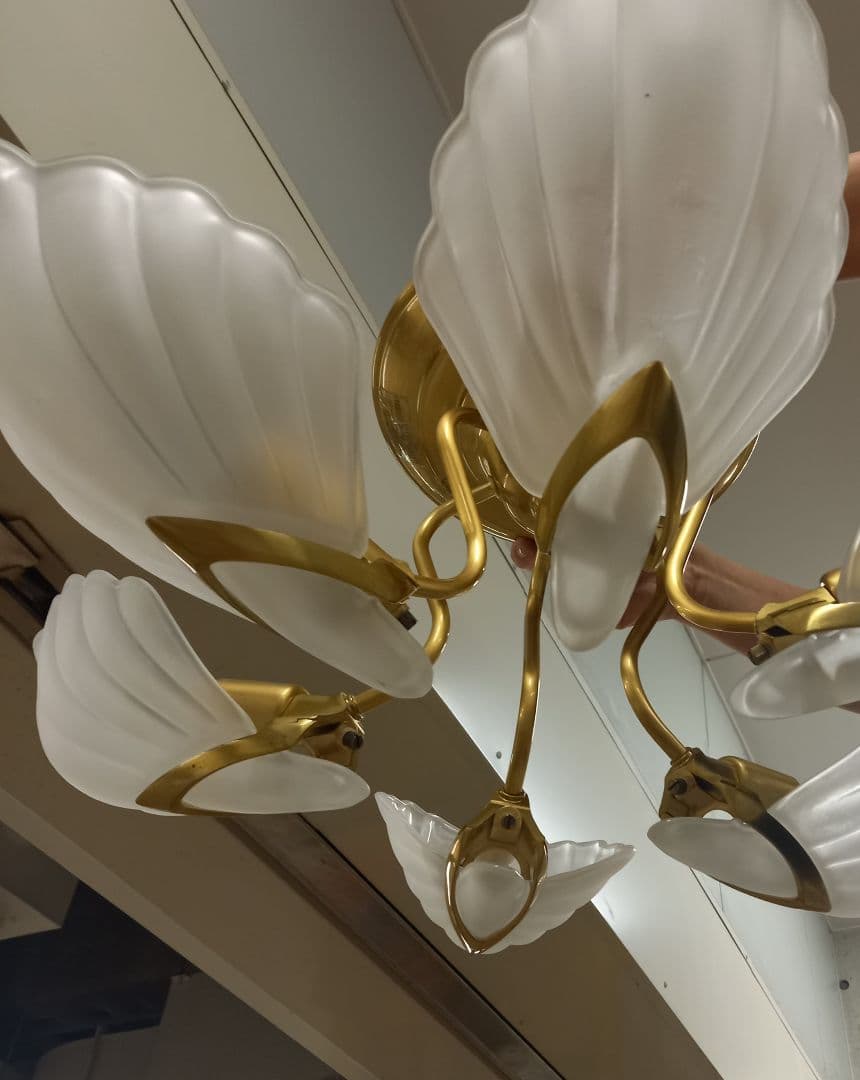 コイズミ　貝殻型6灯シャンデリア