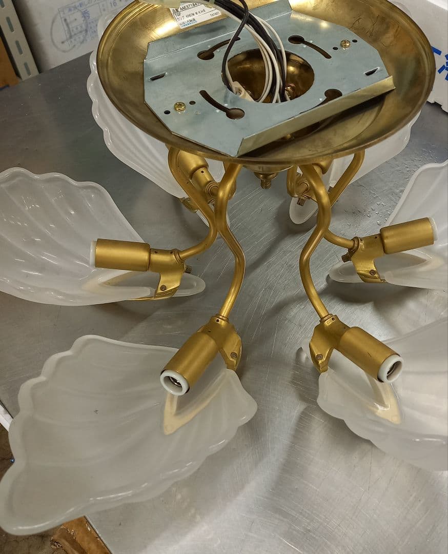 コイズミ　貝殻型6灯シャンデリア