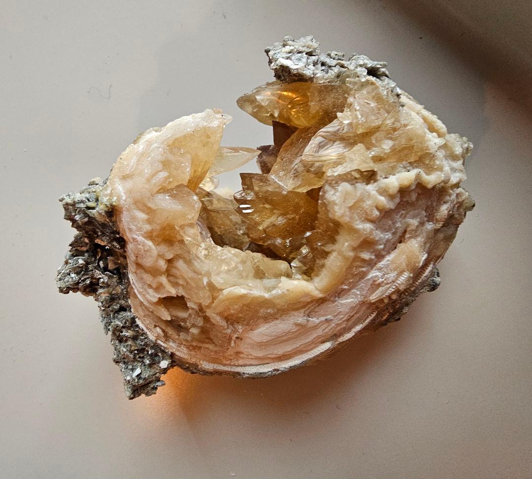 天然石 結晶 貝 化石 クラスター原石 置物 ミネラルマルシェ 巨大 鉱物 標本