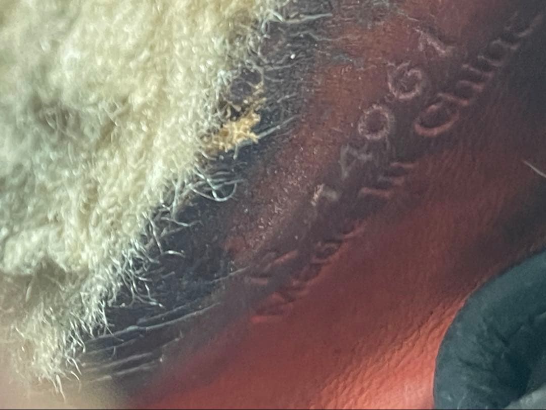 Mizuno Pro 一般軟式グローブ 投手用　値下げ交渉可