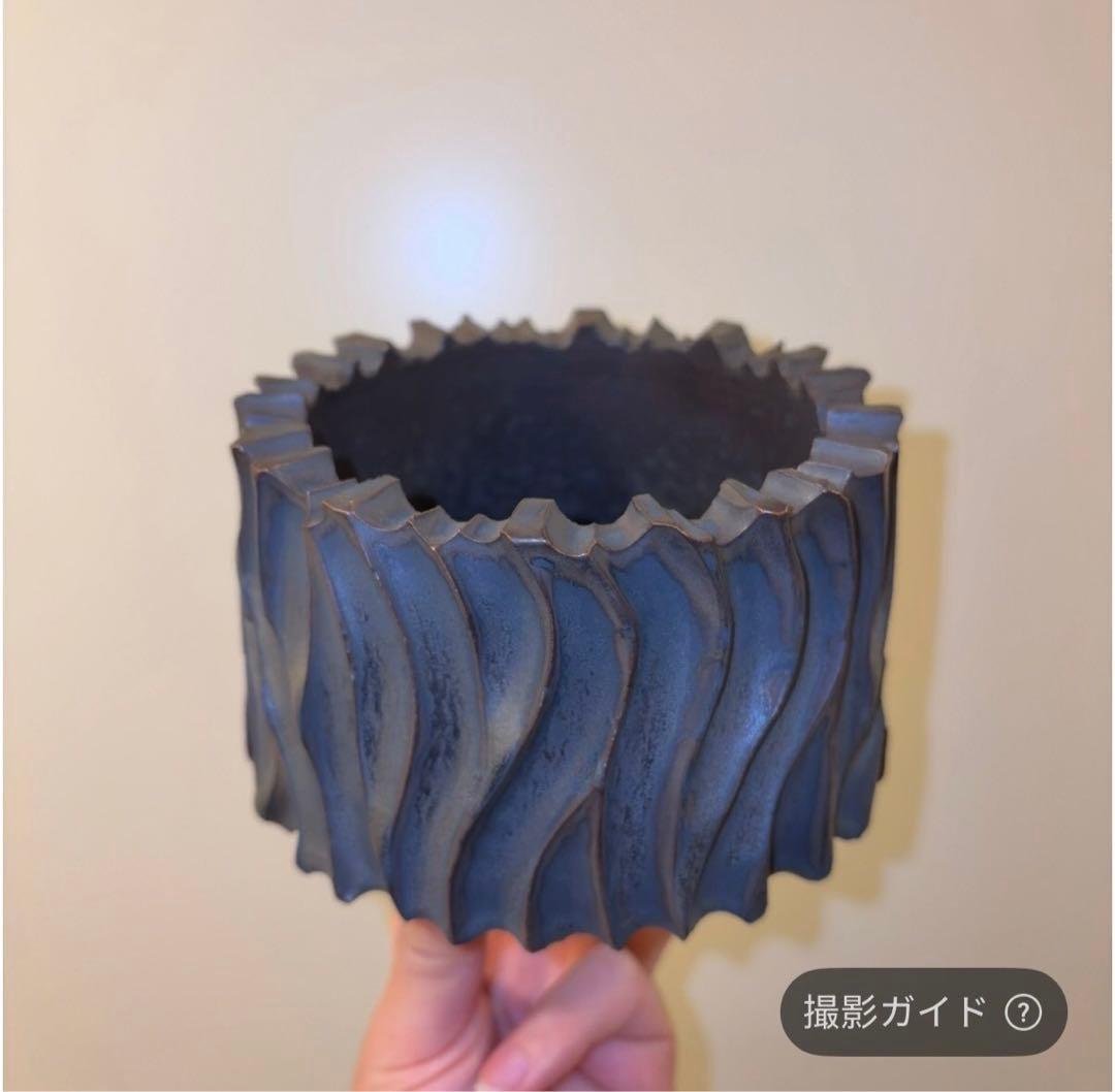 XL SIZE 植木鉢 作家鉢 グラキリス パキプス 恵比寿笑い 黒鬼城 魔界玉
