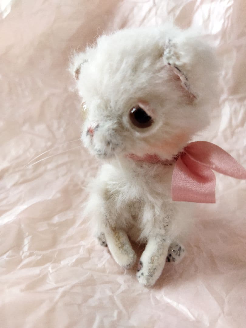 アーティストベア　白ねこちゃん　hacodeco　作家ぬいぐるみ