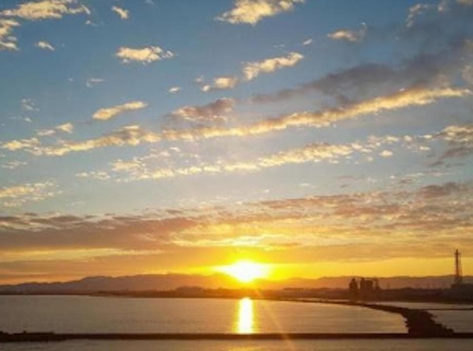 問い合わせ専用