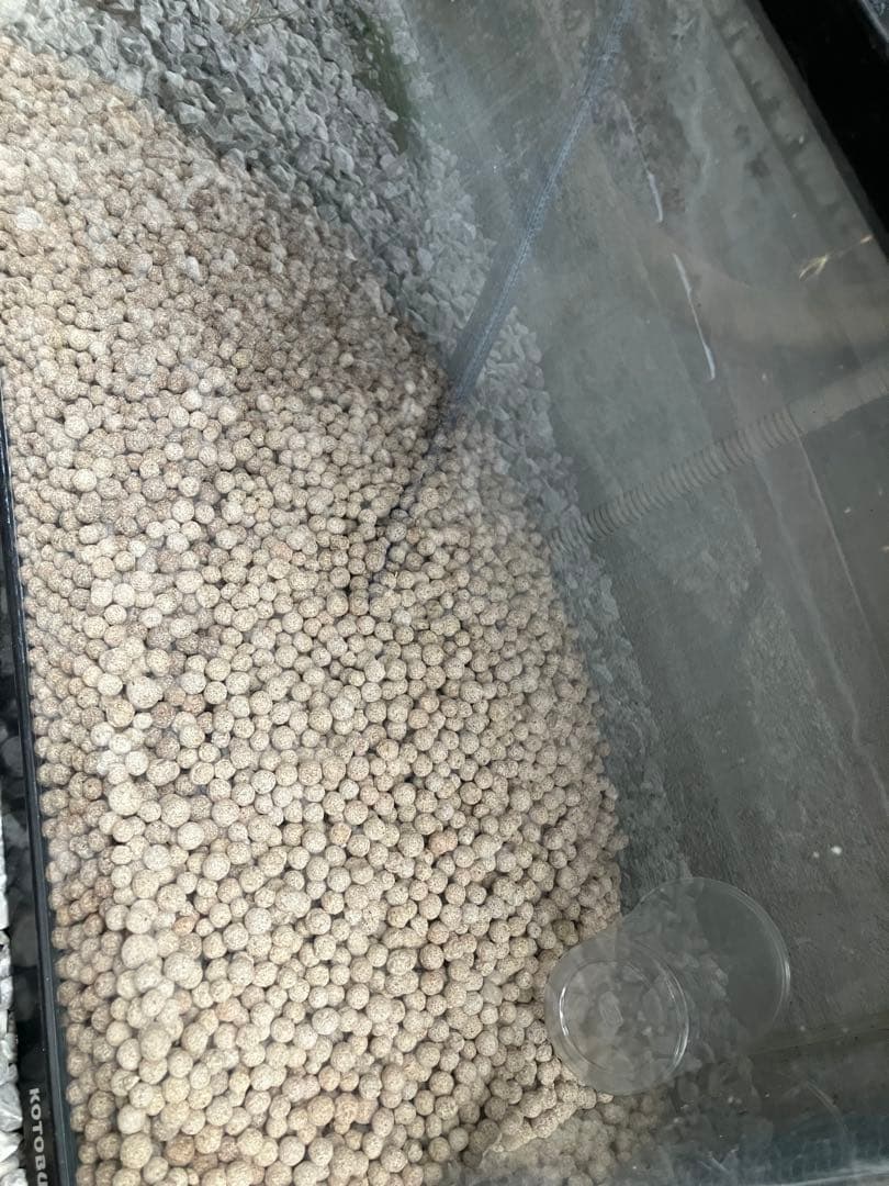 ぷぅ工房120cmアクリル上部フィルターセット 引き取り限定　良さん