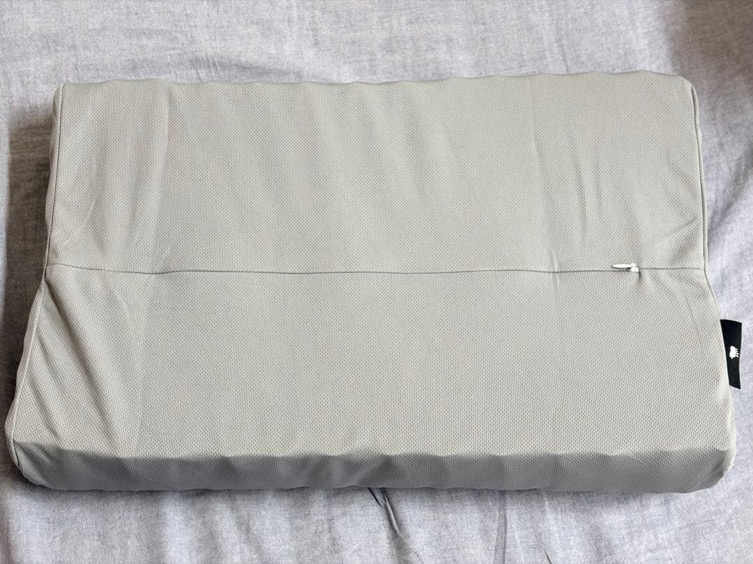 ヒツジのいらない枕 至極　テンセル枕カバー付 専用サラサラカバー付