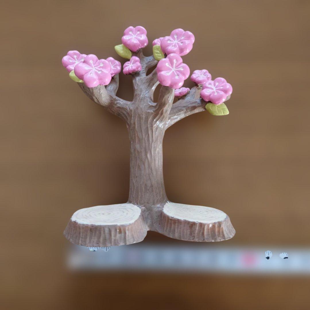 コンコンブル　インコ雛　セキセイ　オカメ　セット