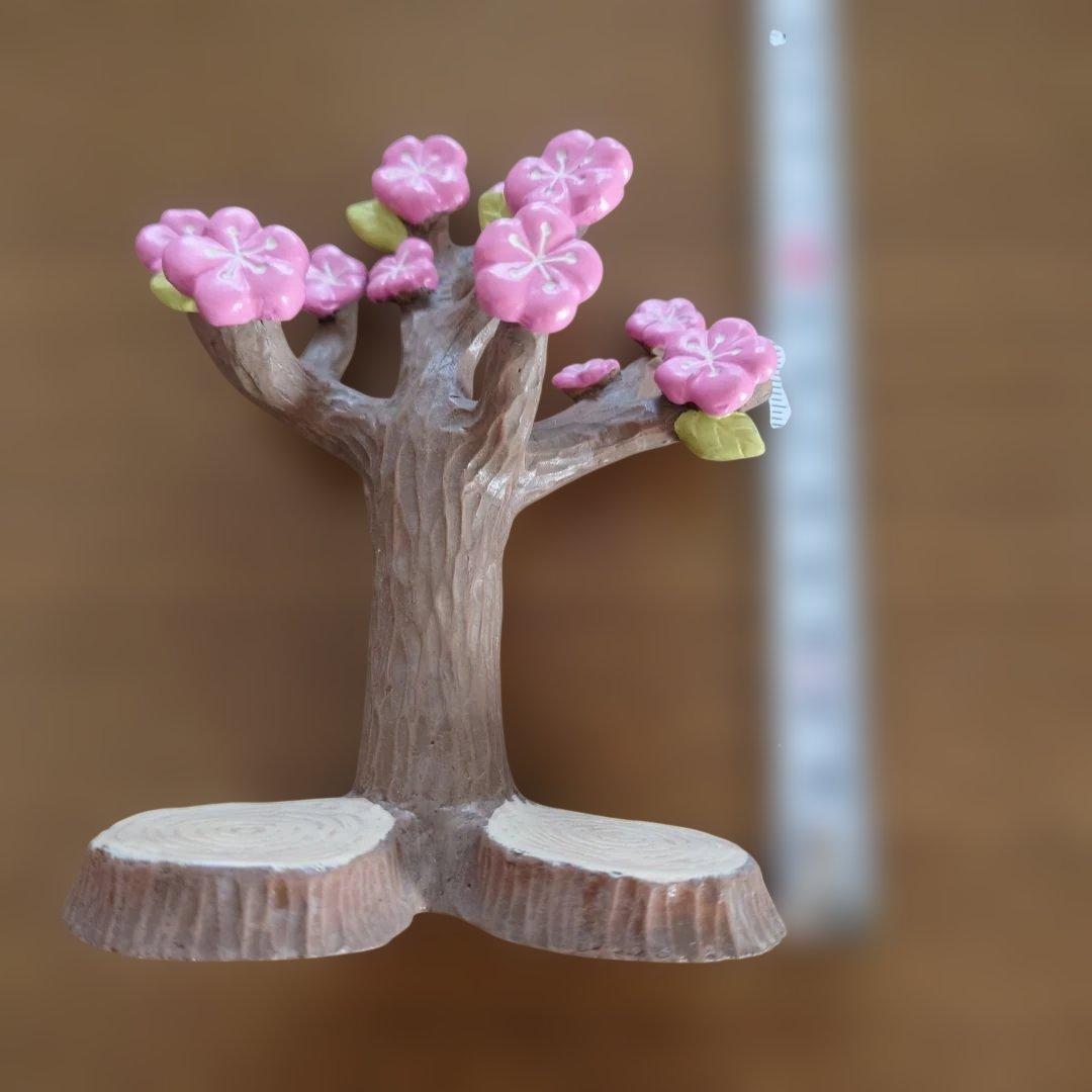 コンコンブル　インコ雛　セキセイ　オカメ　セット