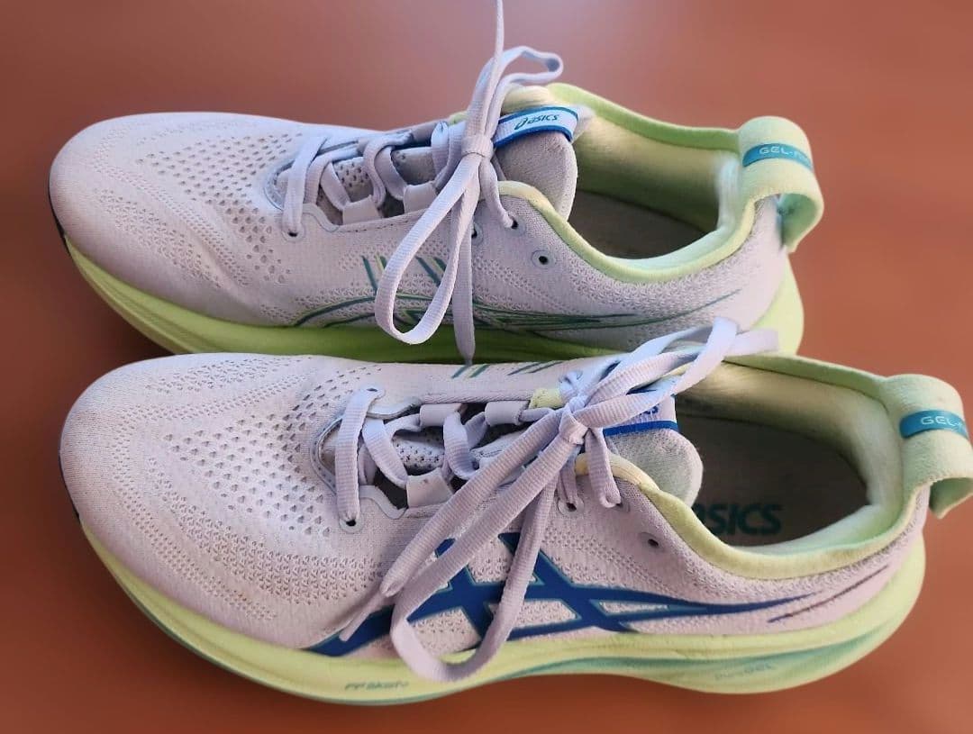 asics GEL-nimBUS FFBlast+　PureGEL 25.5cm