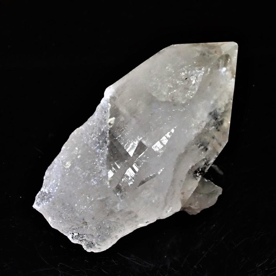 値下しました！ティップリン産ポイント-117-1