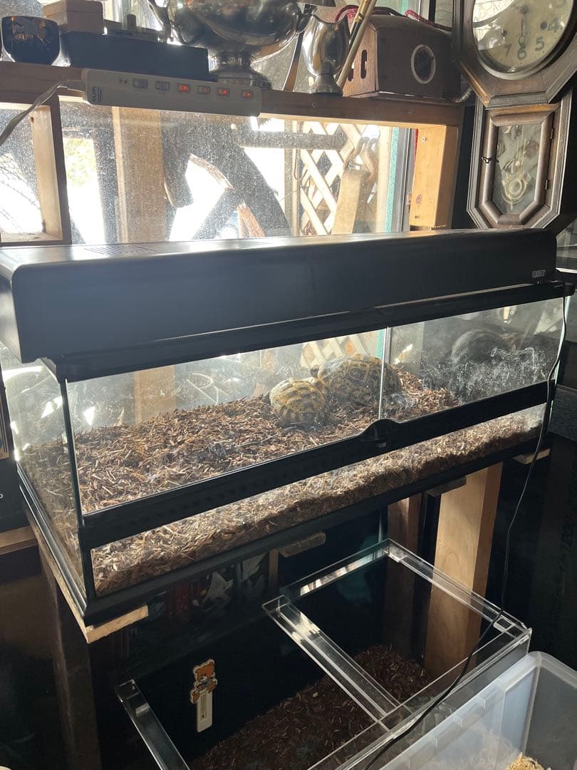 GEXエキゾテラグラステラリウム90、爬虫類ケージ、リクガメ飼育ケージ
