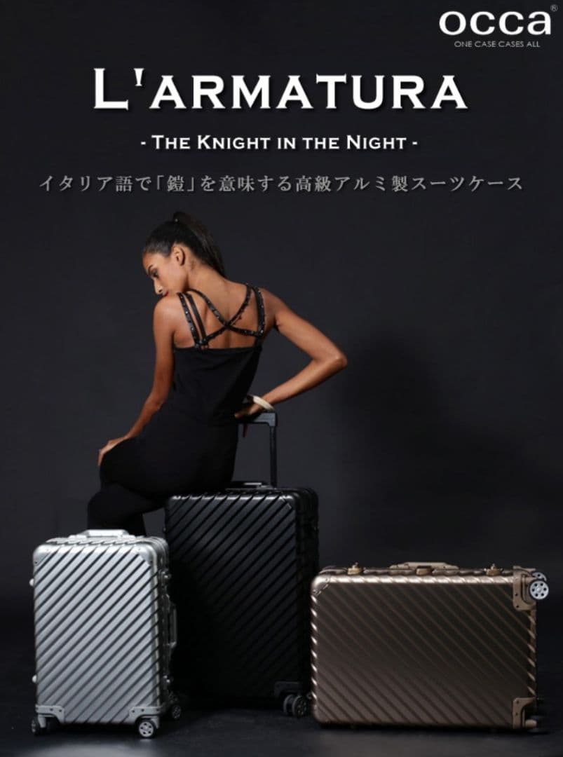 L 'ARMATURA 高級アルミスーツケース 【機内持ち込み】